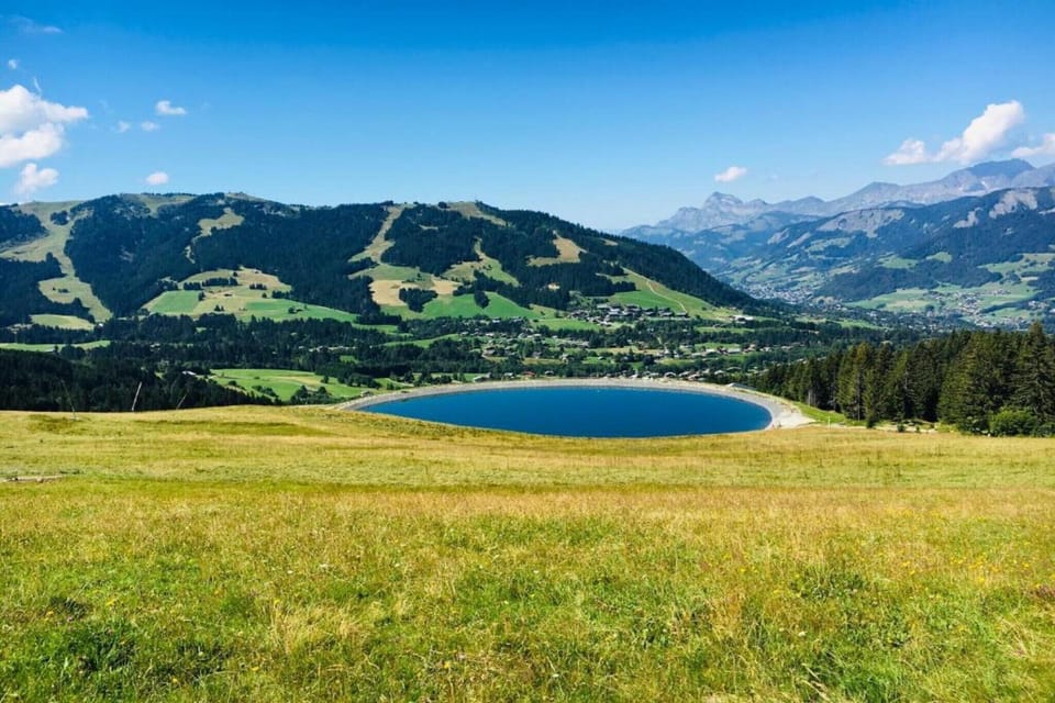 Region [summer] (>5 km)