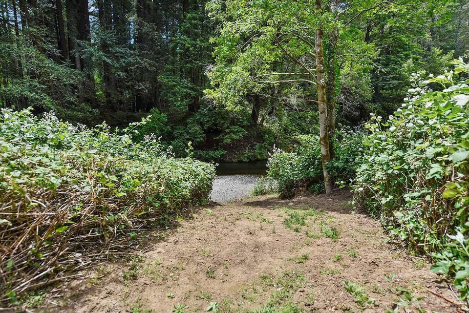 Path to the creek.