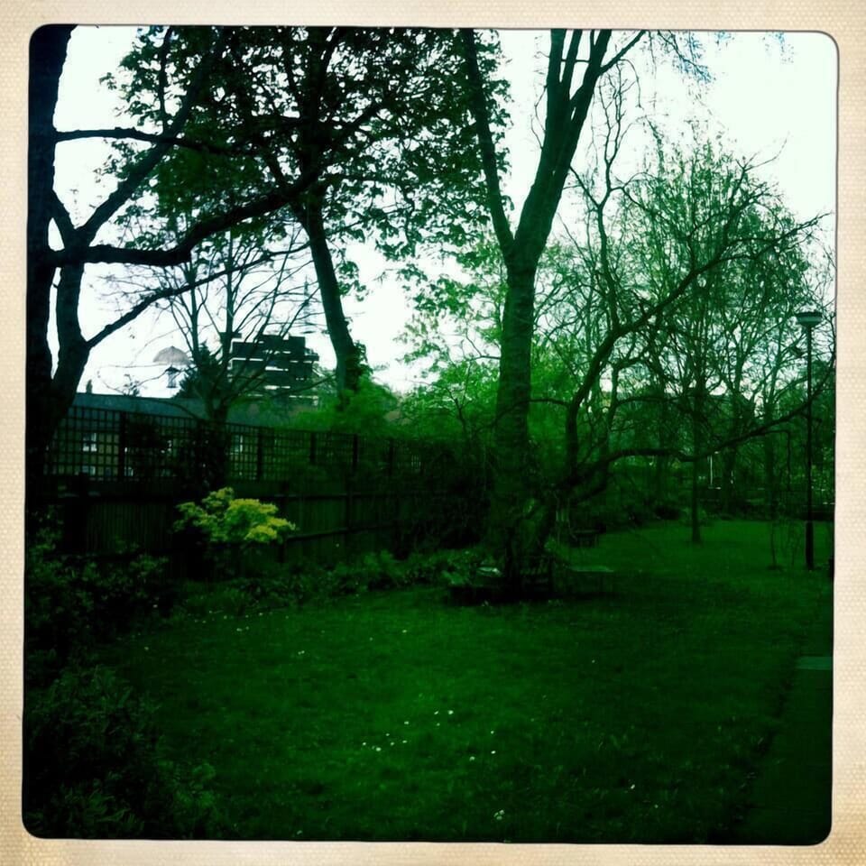 Large shared enclosed garden safe for doggies to roam