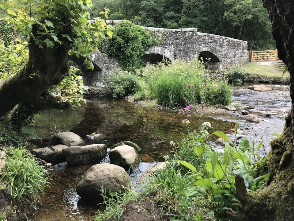 Fingle Bridge, near Castle Drogo