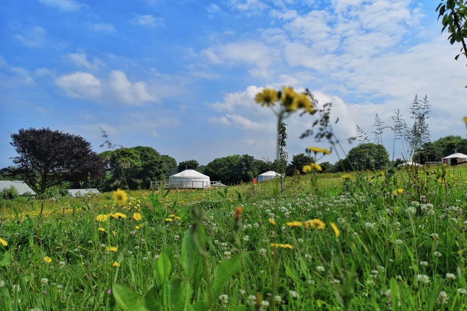 Honeymoon is one of 12 luxurious, spacious Mongolian-inspired yurts nestled in 62 acres of historic Estate