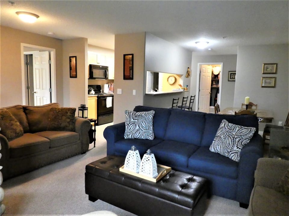  Living Room 40 inch TV w DVD Gas Fireplace