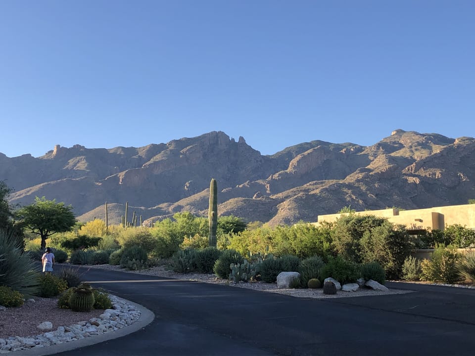 Walking paths and wide roads for great walks. Very safe in our gated community.