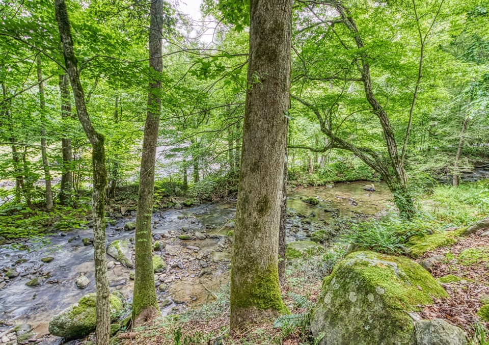 Creekside Cabin near Gatlinburg