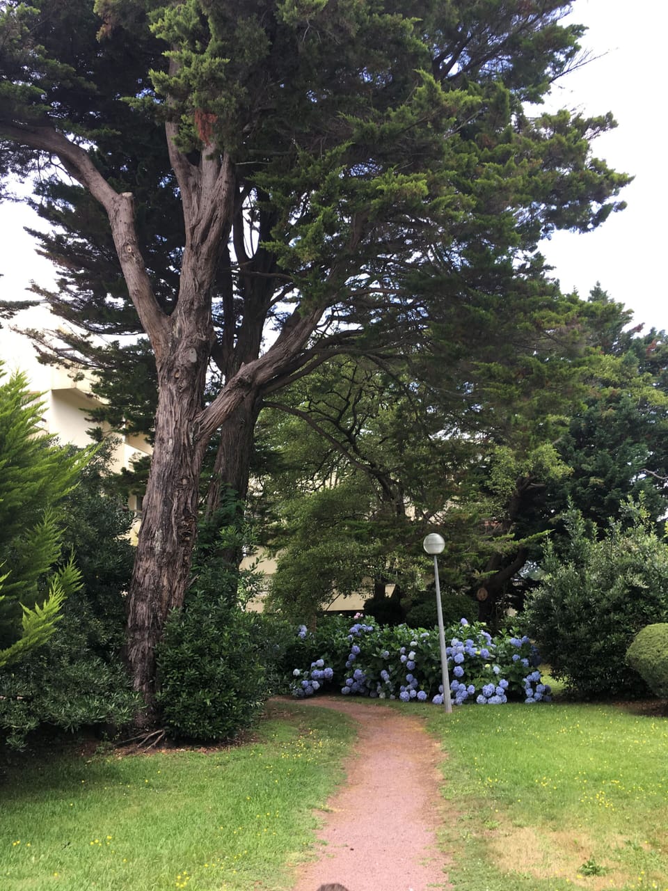 Property grounds