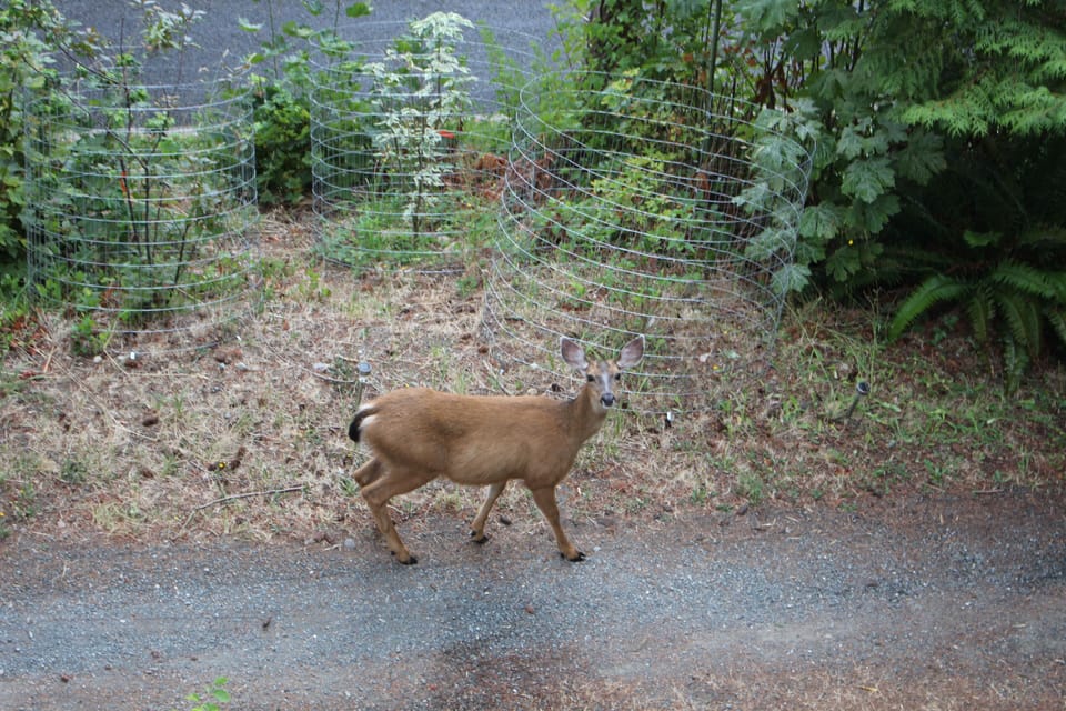 Meet the locals!
