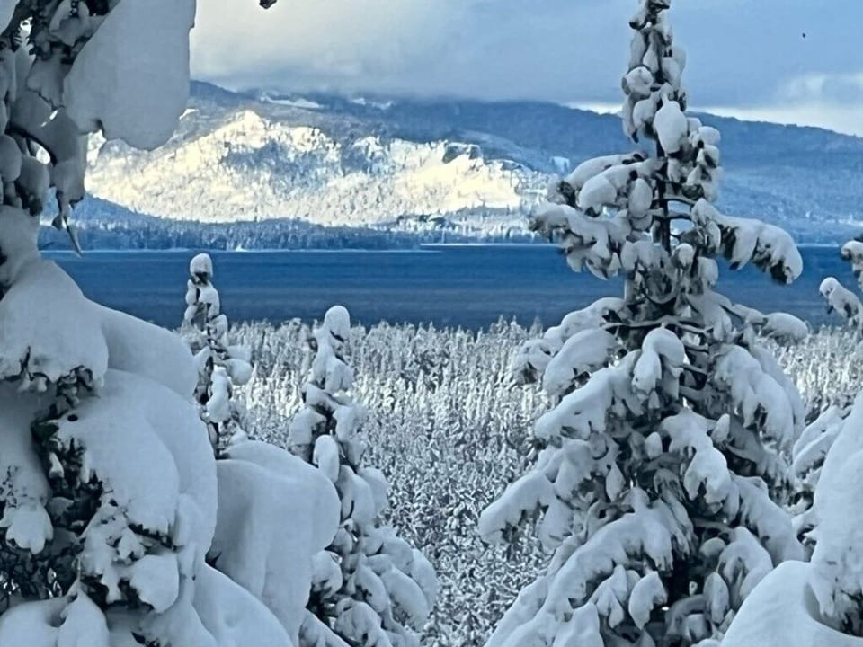 A winter wonderland.
