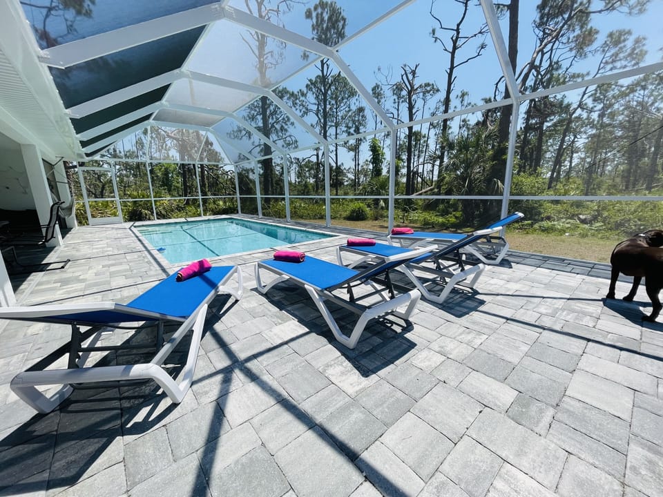 Relaxation at Its Best. 4 Sun lounger 