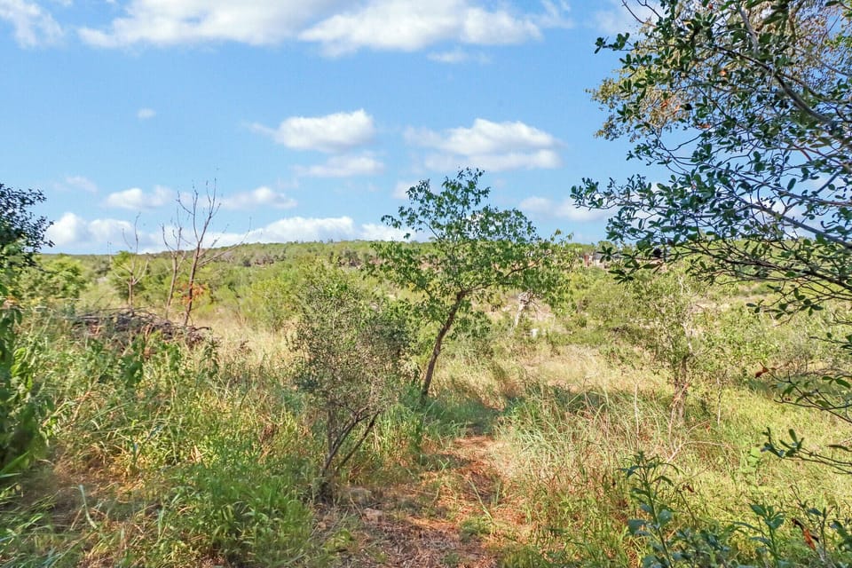 Rolling grassland offering a peaceful backdrop to your countryside escape.