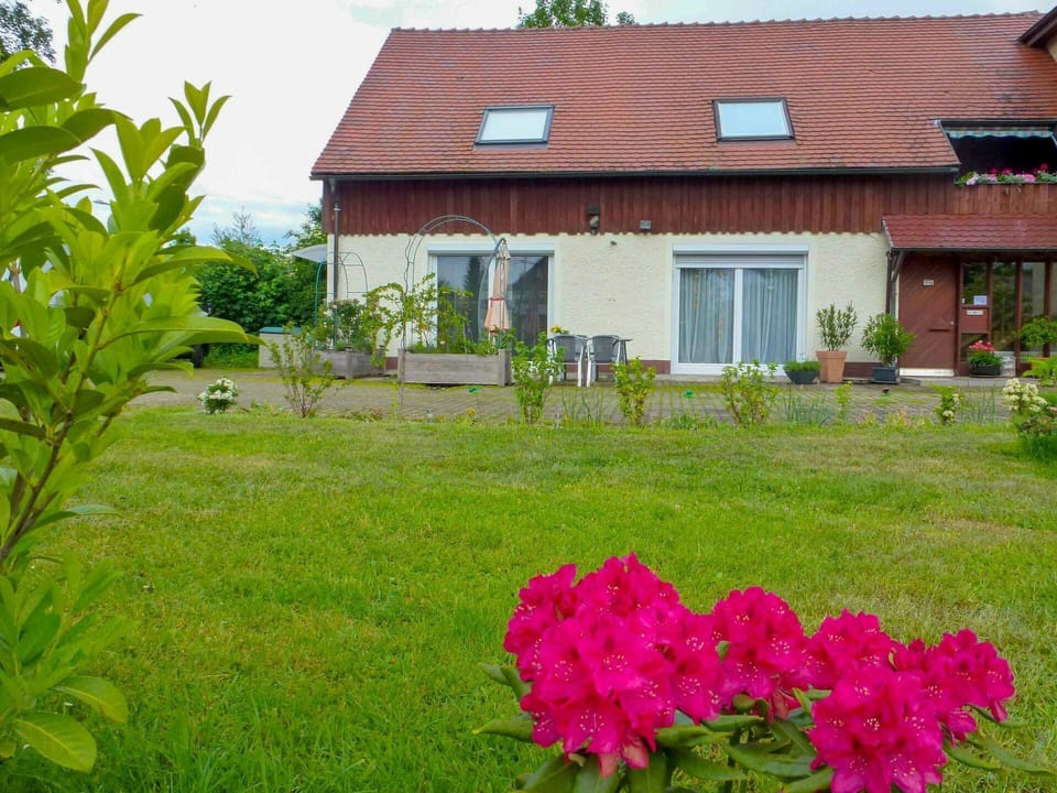 Plant, Flower, Building, Property, Plant Community, Window, Sky, House, Petal, Cloud