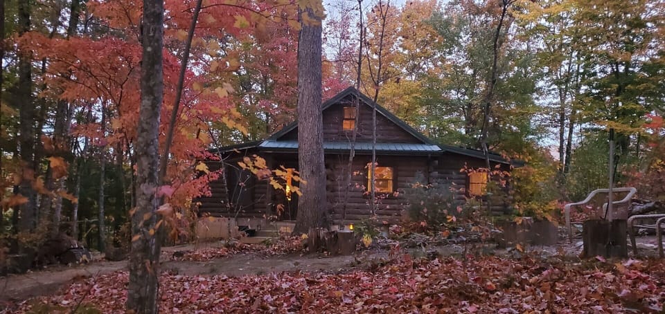 Fall Foliage Front of Cabin