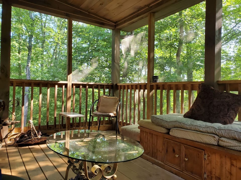 Screened back porch with Sunrise light.