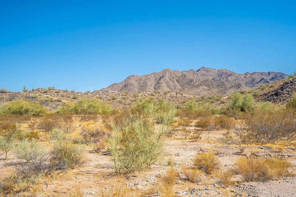 Lots of outdoor options including hiking / walking paths.