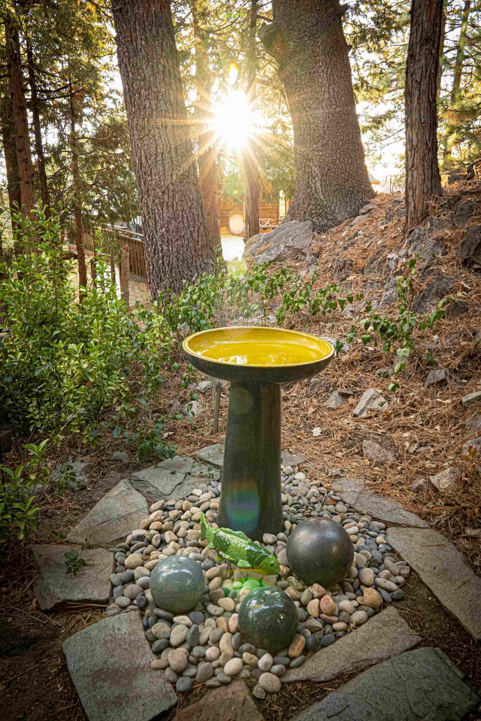Walking up the stairs to what awaits. A bird bath along to the front door.