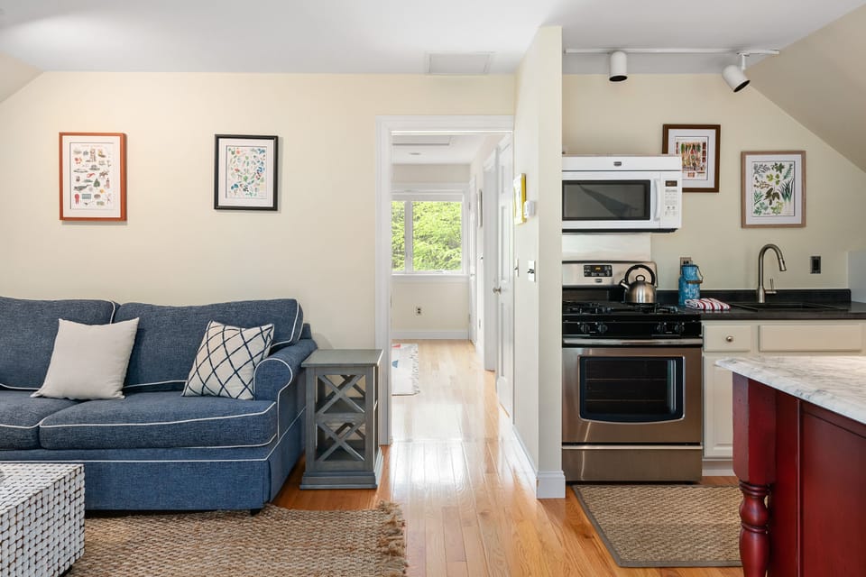 Living room and kitchen leading to the bedroom.