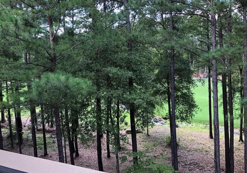 View From Balcony 