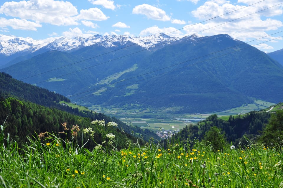 Design Lodge with Mountain View - Farmhouse Architecture in Mals, South Tyrol Apartment in Trentino-South Tyrol