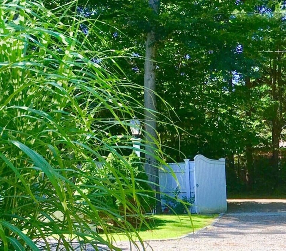 front entry