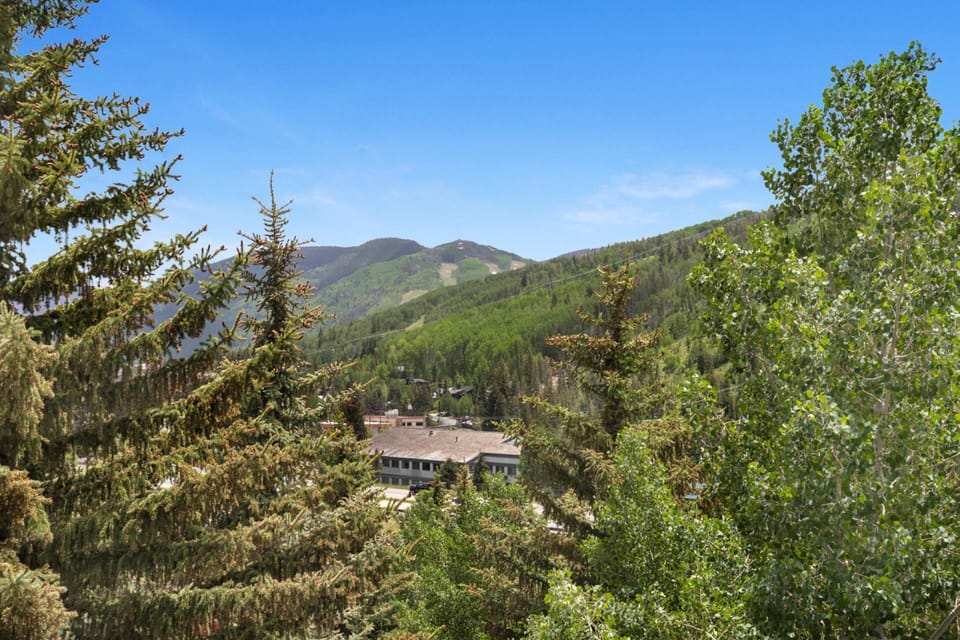 Gorgeous Mountain Views