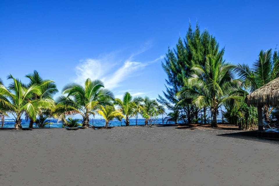 The outdoor garden with direct access to the beach