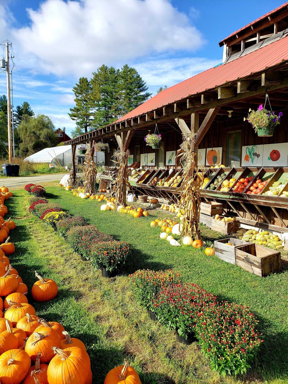Our neighbor, Hartshorn farm and stand