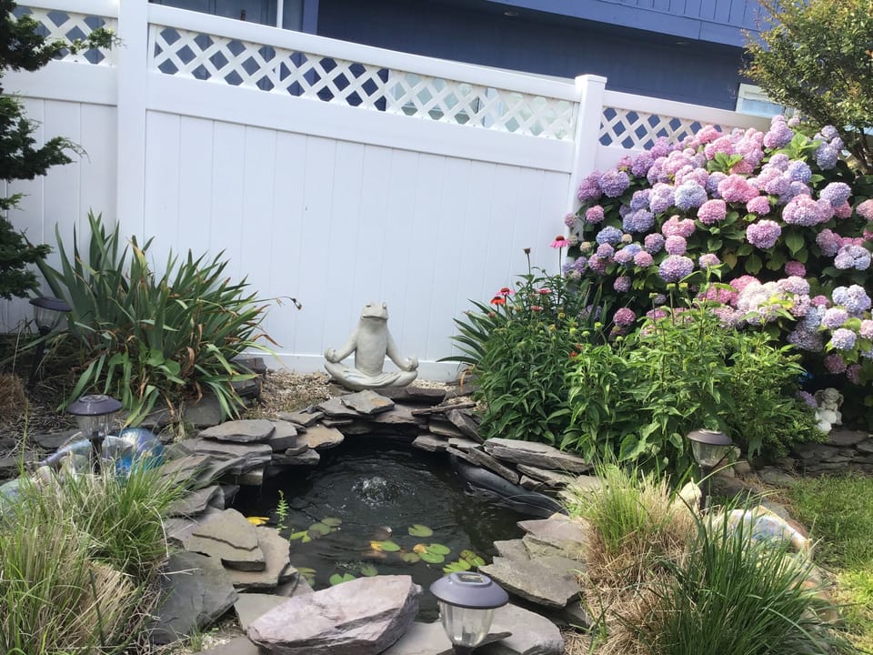 Comfortable and private back yard. 