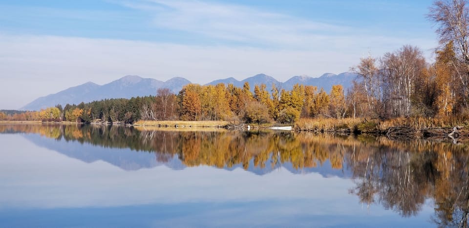 Fall colors on Flathead River
📷: Sarah Bergford 
