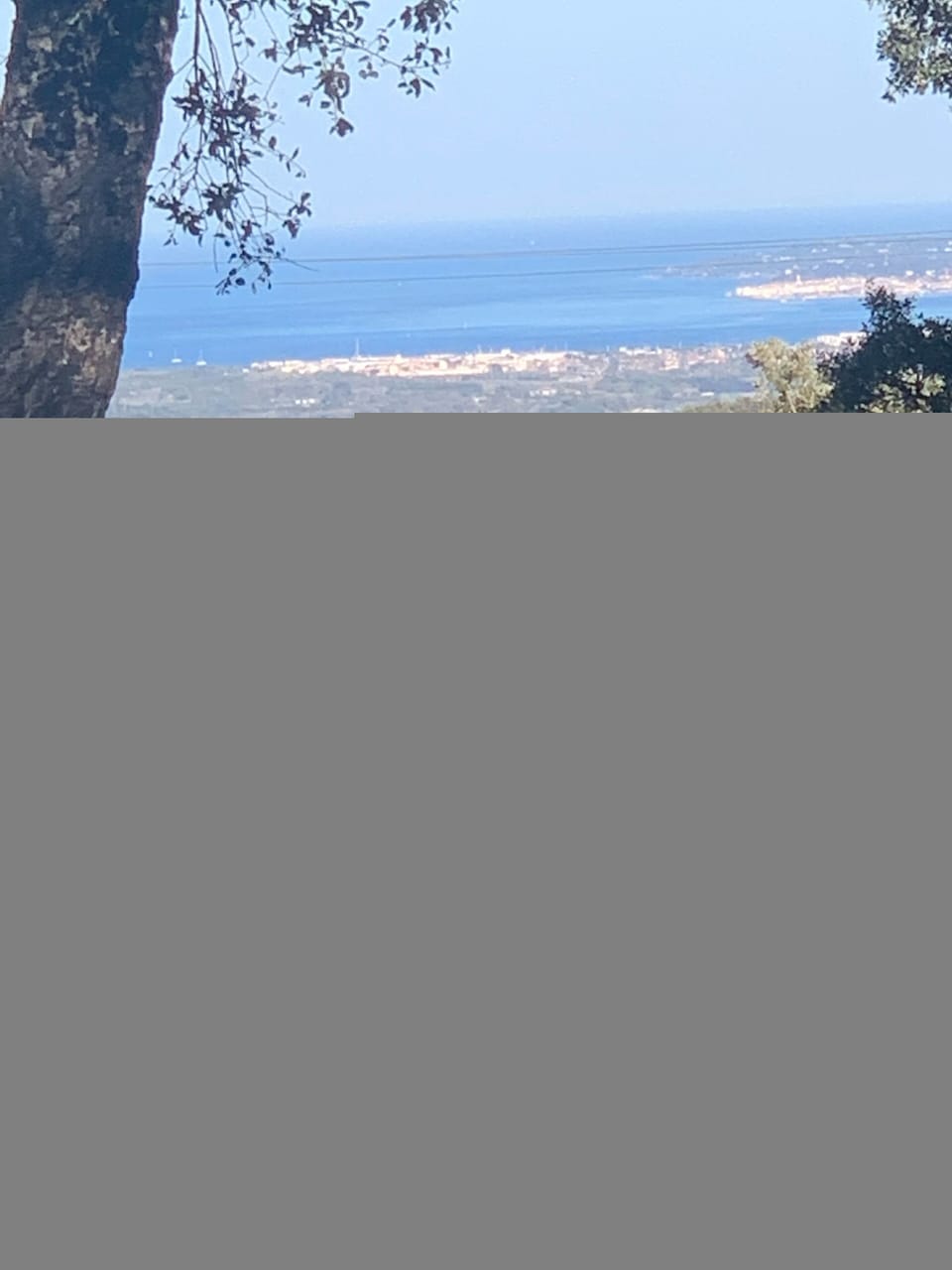 View from property