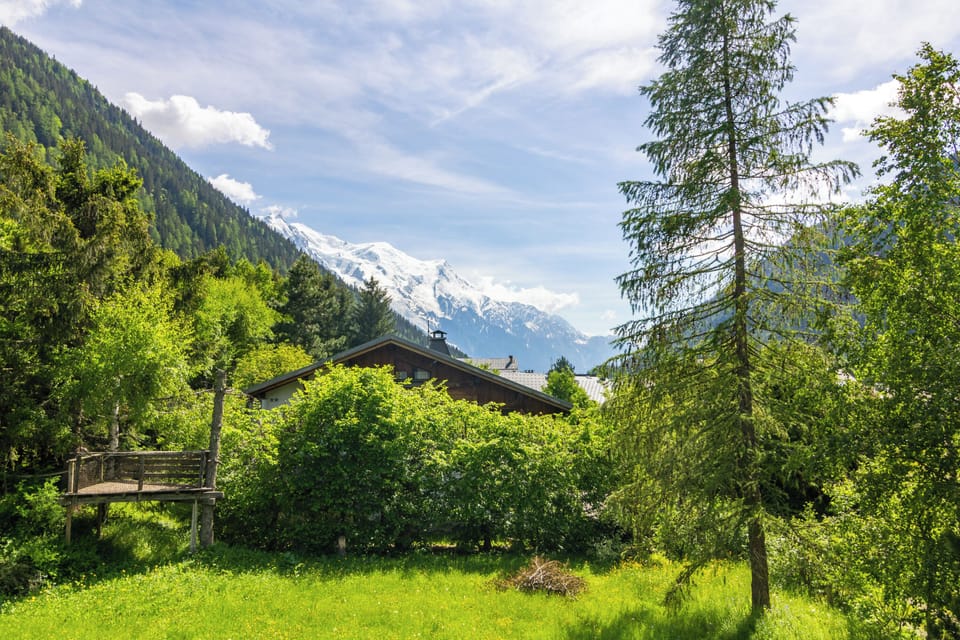 View of Mont Blanc