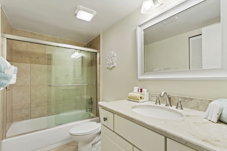 Guest bathroom