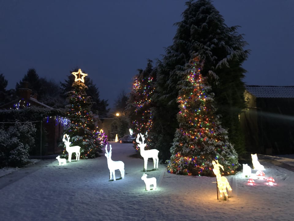 Very still and bright wildlife at Christmas 
;-) 