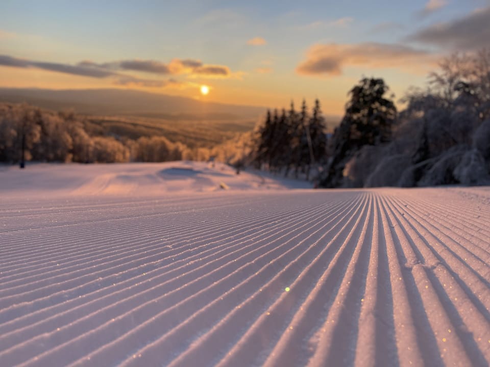 Experience this beauty at our place,