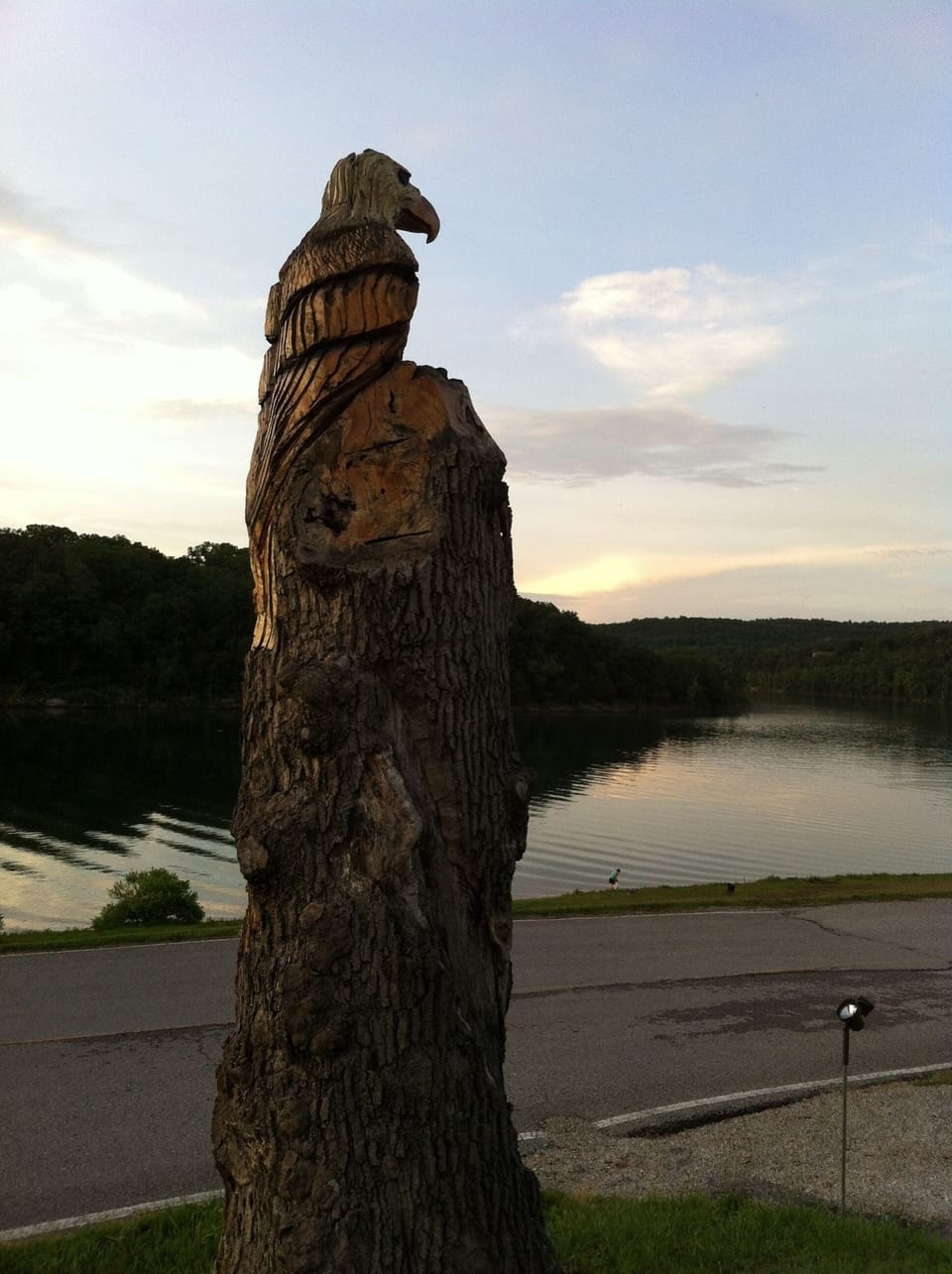 Eagle Tree Carving overlooking the beautiful calm water of Table Rock Lake. 