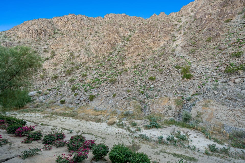 Another view from the back patio.