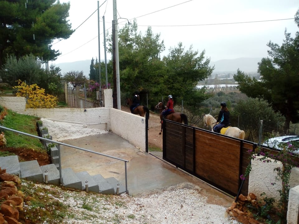 Βόλτα με άλογα