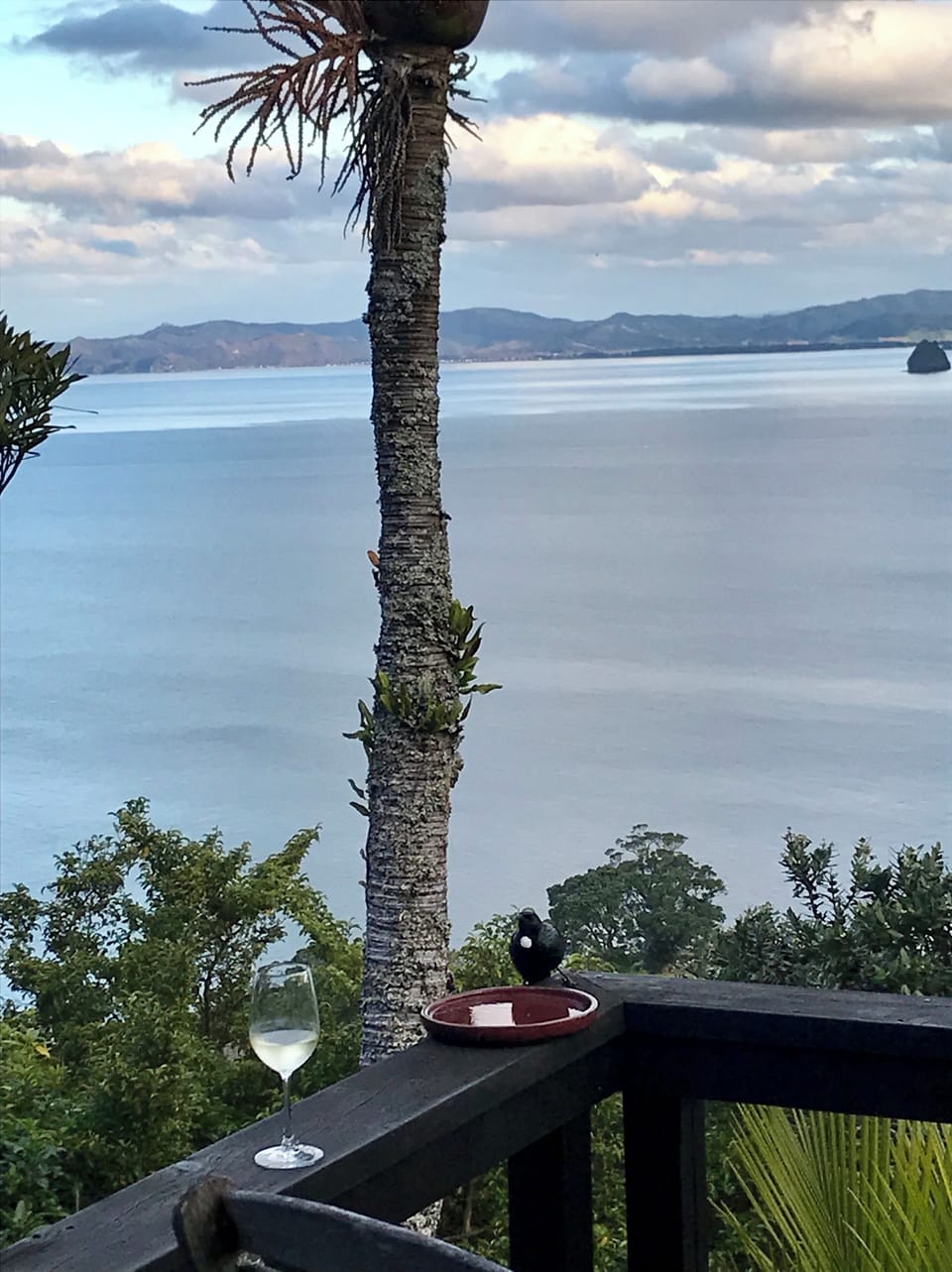 ‘That’s my wine Mr Tui!’ 🥂