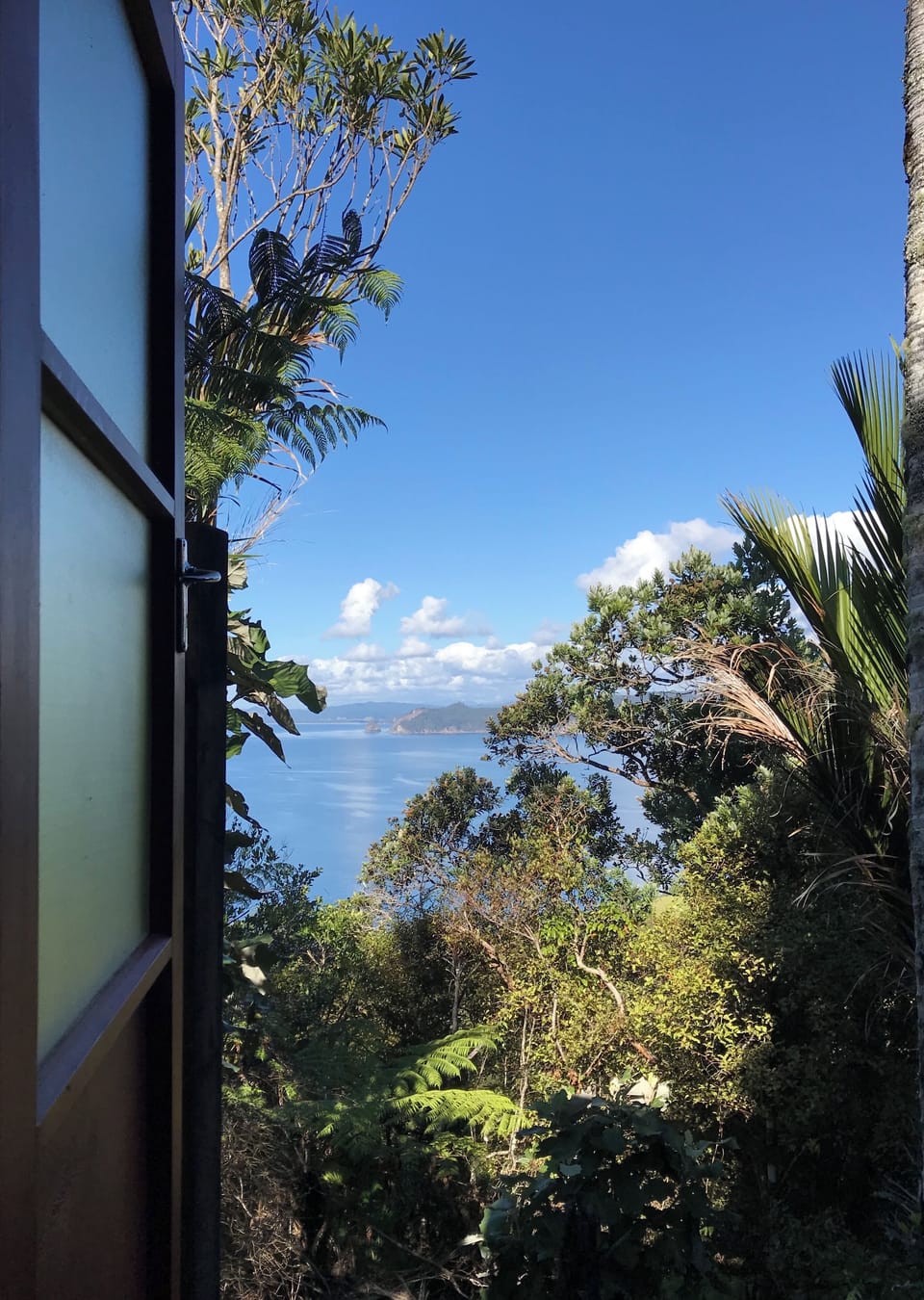 Loo with a view
