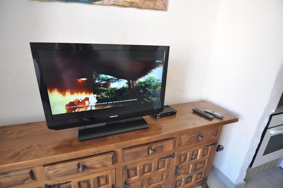 Television