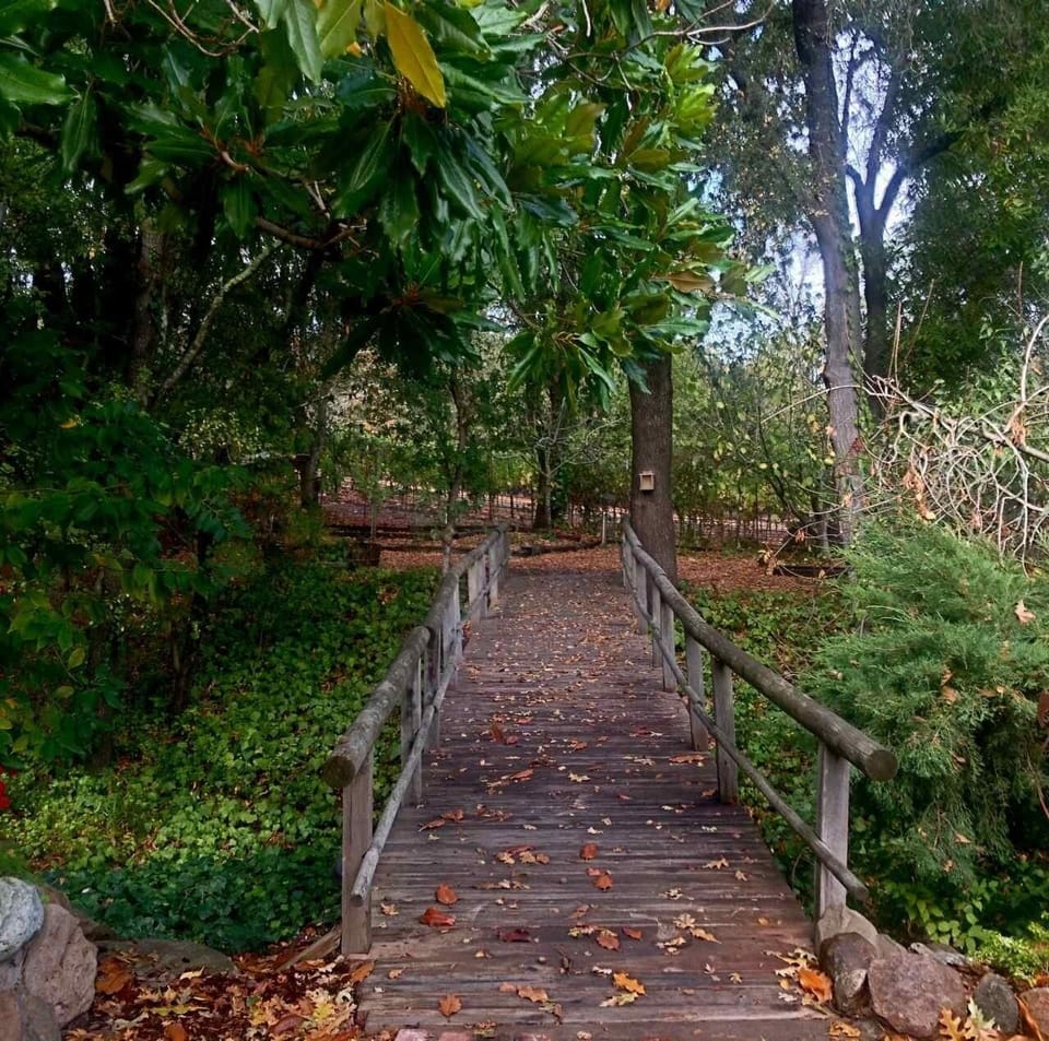 The quaint bridge over the seasonal creek.