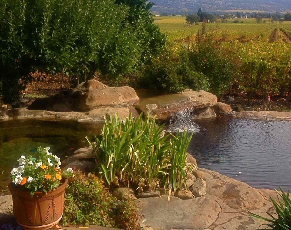 Hot tub, pool, waterfalls, and views.