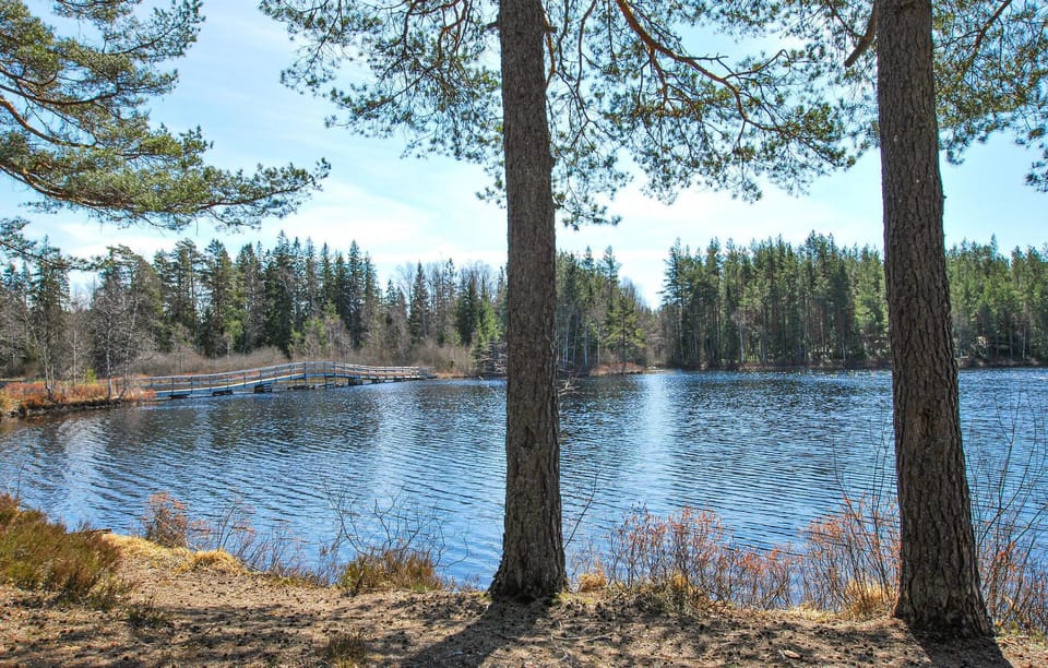 area