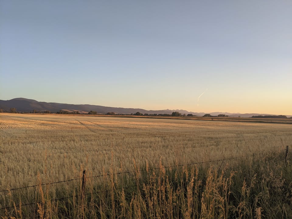 The Southbridge neighborhood is very walkable. Views of gorgeous wheat fields.