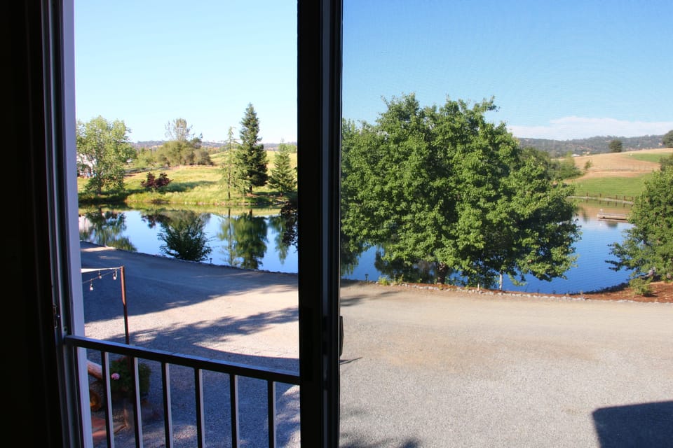 Beautiful view of the pond!