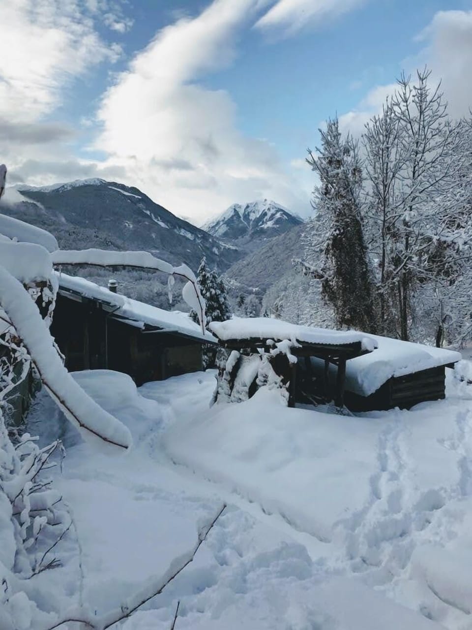Winter snow in the garden.