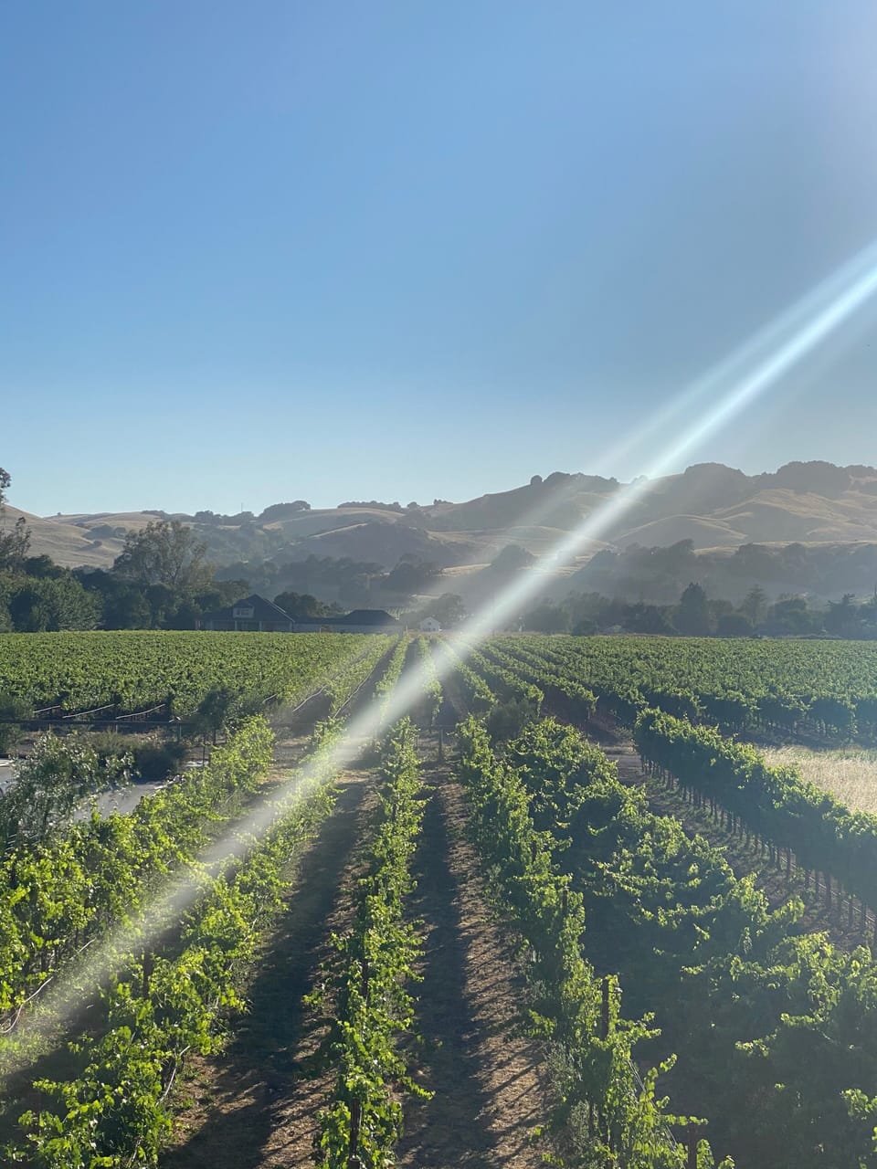 Sonoma Vineyard Escape 45 min from SF Cottage in Napa Valley