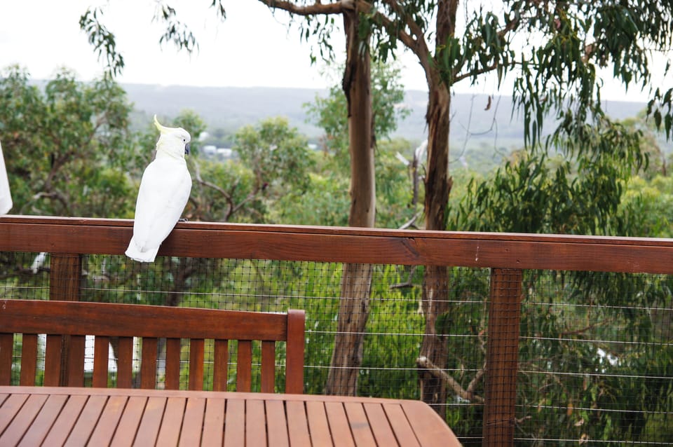 Back Balcony 2