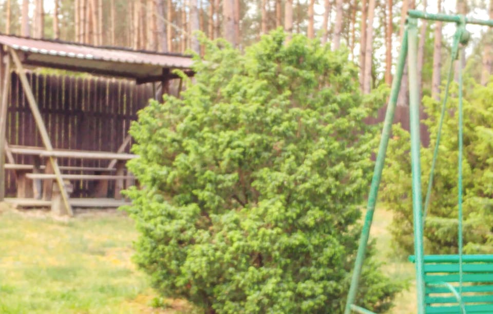 outside