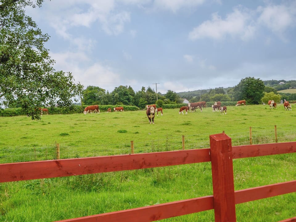 View | Sgubor Llwyndu, Betws, near Ammanford