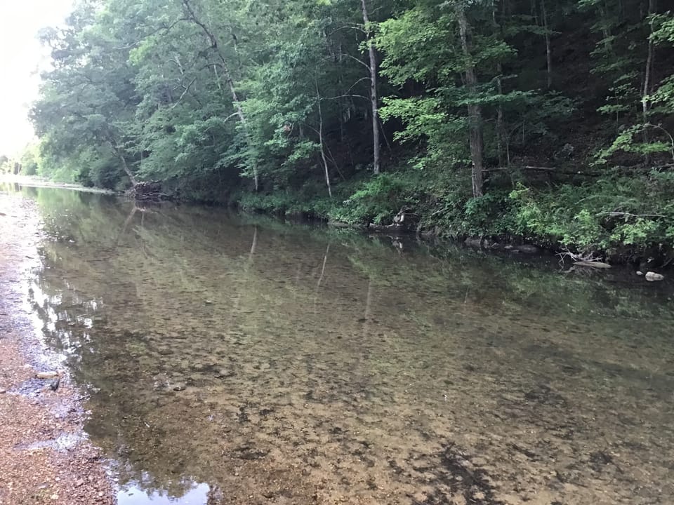 Creek with clear water
