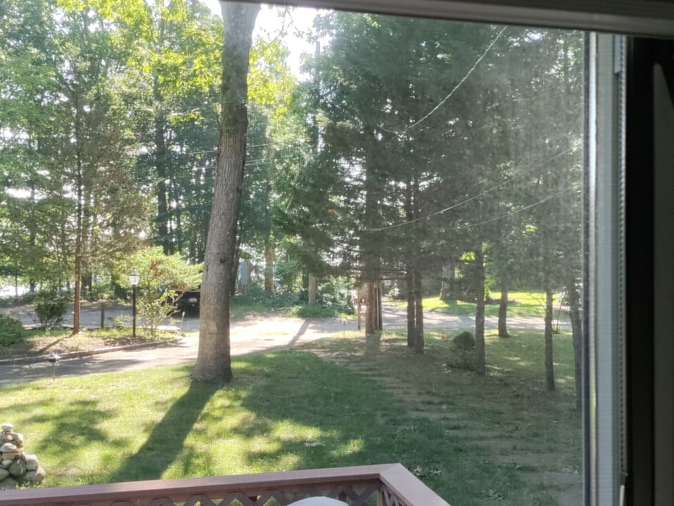 The view from bedroom 2,
you can glimpse the Bay through the trees.